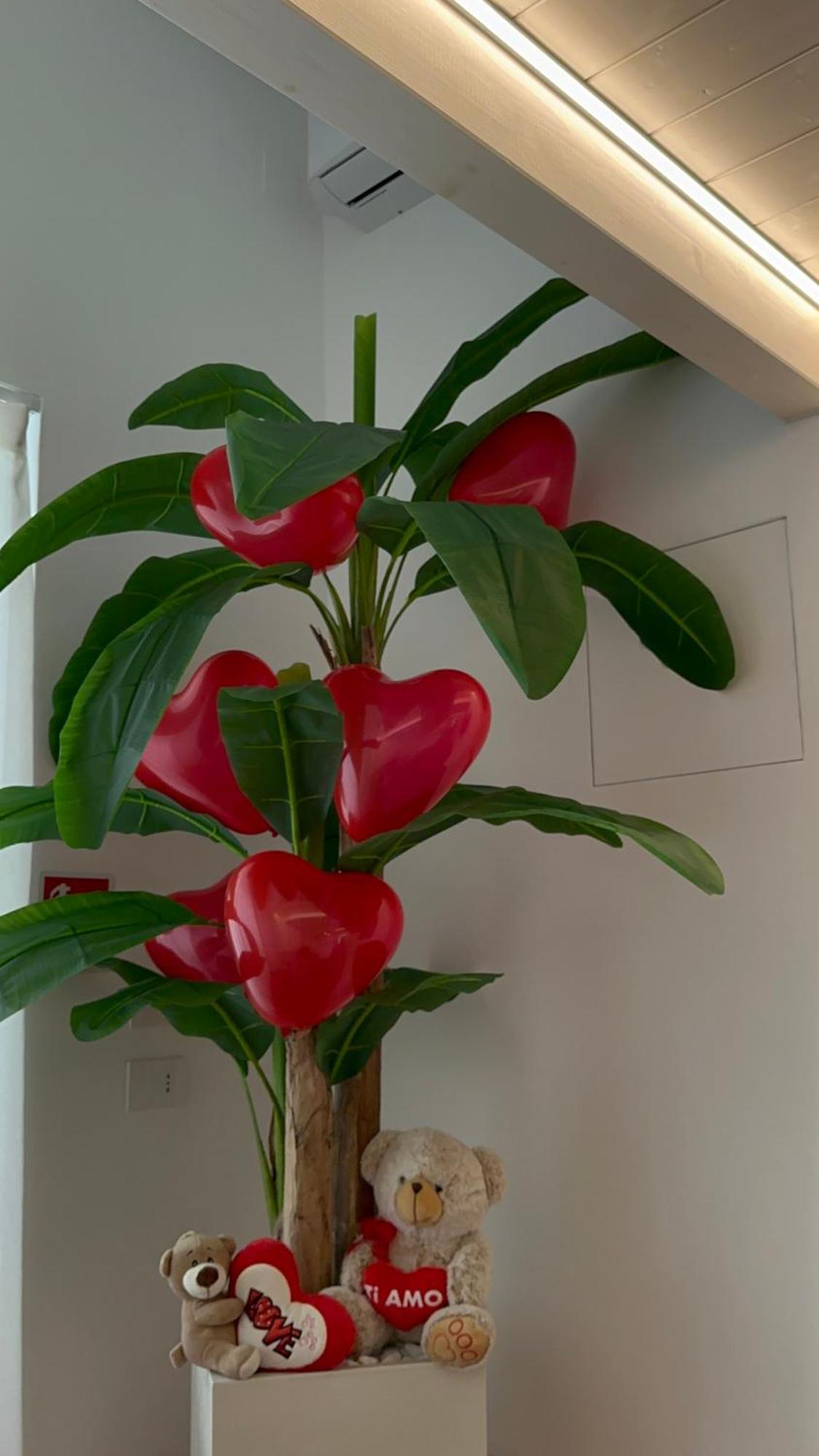 Bitritto B&B Butterfly Suite المظهر الخارجي الصورة